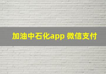 加油中石化app 微信支付